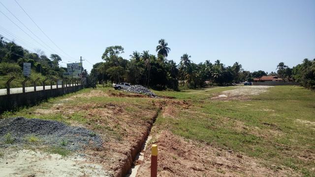 Excelente terreno em Paripueira - Foto 4