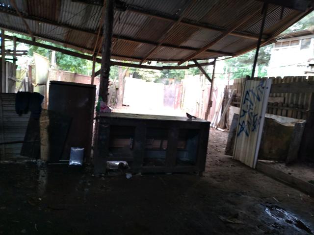 Vendo área na protasio - Foto 6