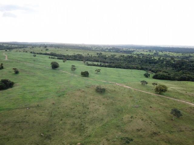 35 Alq. Beira Rio. Morrinhos-GO. Boa de Terra e Água! - Foto 11