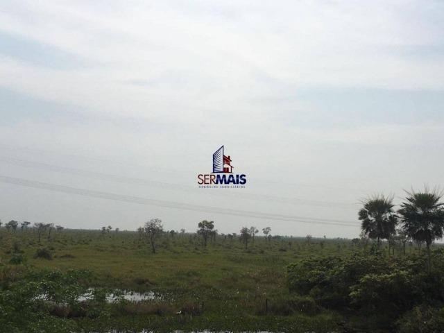 Excelente Fazenda a venda em Corumbá-MS - Foto 5