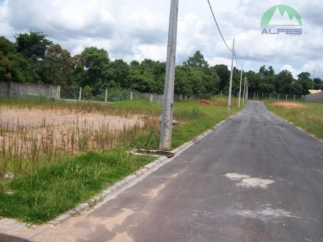 Terreno residencial à venda, braga, são josé dos pinhais. - Foto 7