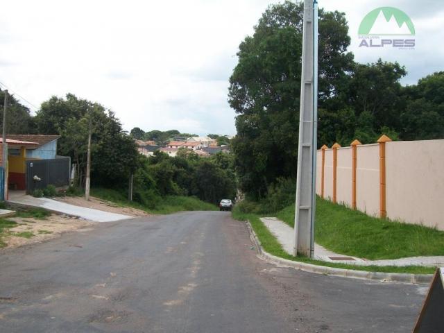 Terreno residencial à venda, braga, são josé dos pinhais. - Foto 9