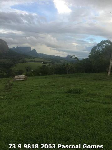 Fazenda a venda Bahia 30 hectares - Foto 7