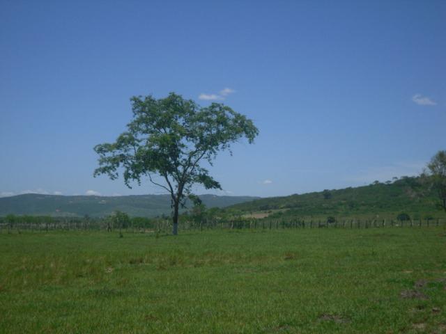Facilito!! Oportunidade de terreno: Serra Negra - registrado 1.950m2 - Foto 2