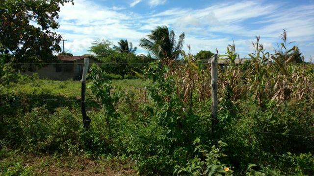 Granja 7 hectares, Casa simples,próximo a RN 064, Cercada - Foto 4