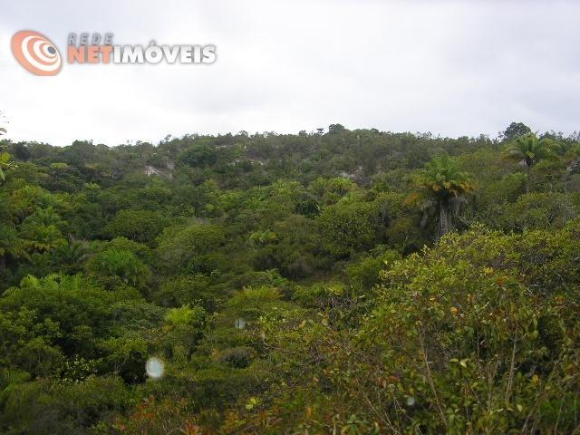 Fazenda com 52,5 Hectares com Fábrica de Azeite de Dendê à Venda na Ilha de Boipeba 402074