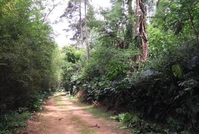 Terreno, Vista Alegre, Teresópolis-RJ