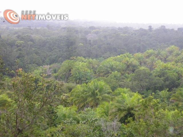 Fazenda com 52,5 Hectares com Fábrica de Azeite de Dendê à Venda na Ilha de Boipeba 402074 - Foto 2