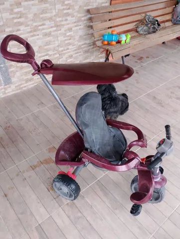 Triciclo Infantil Zootico Joaninha - Bandeirante