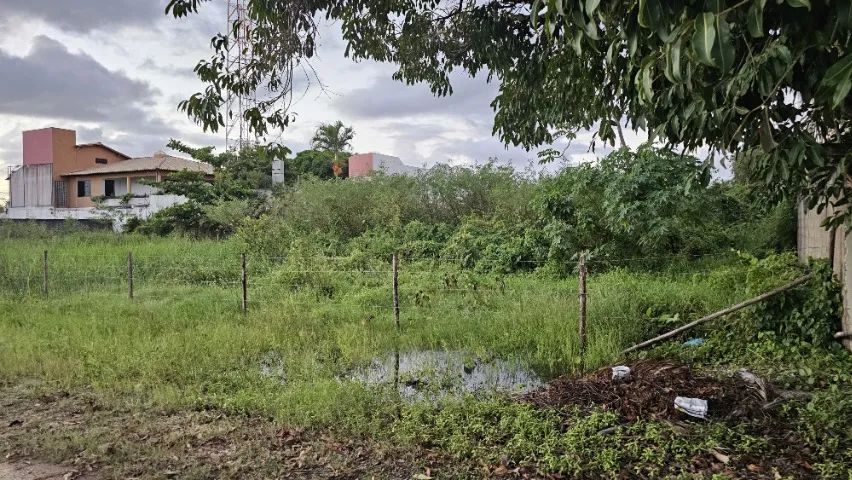 Terreno no Mosqueiro - Foto 2