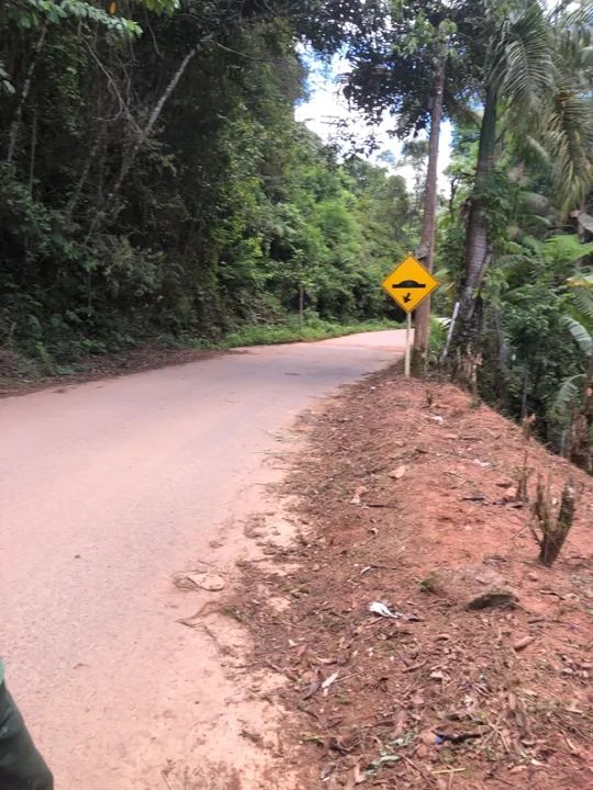 SÍTIO EM SANTA LEOPOLDINA  - Foto 5