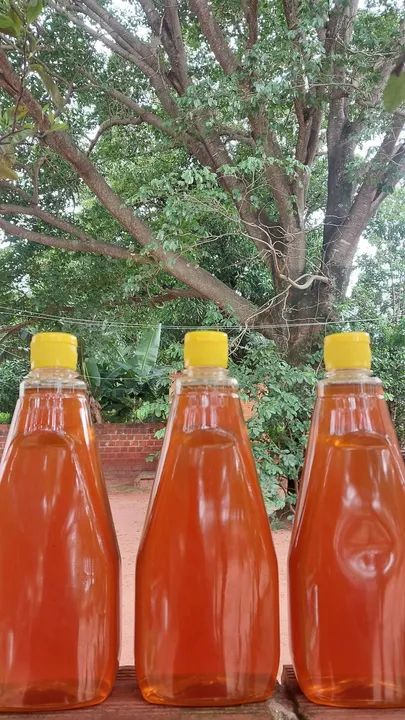 Mel de abelha puro e natural - Foto 3