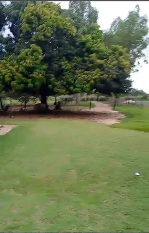 LINDO SITIO 25 HECTARES PERTO DE VG