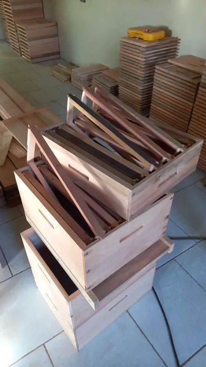Caixa de abelha padrão Langstroth. - Foto 2