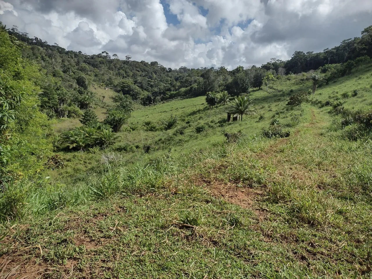 37 tarefas Fazenda sítio terra 13km de Itamaraju