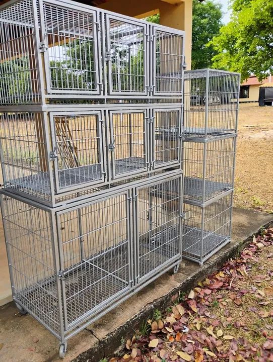 Vendo canis para pet shop em metalon. Pintado