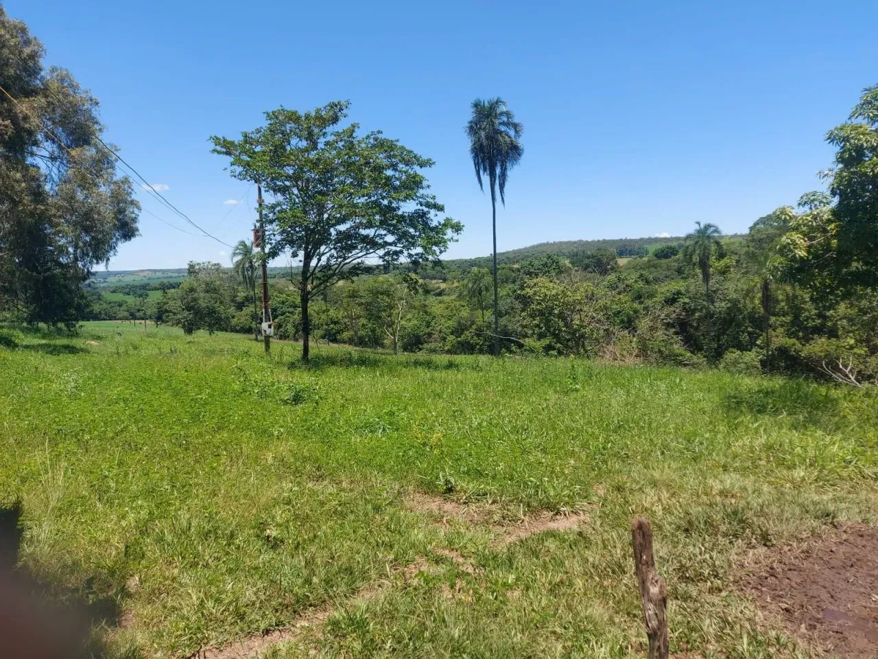 Fazenda Bela vista - Foto 5