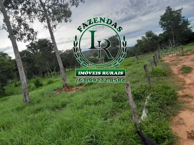 Fazenda 168 Alqueires Dupla Aptidão - Foto 2
