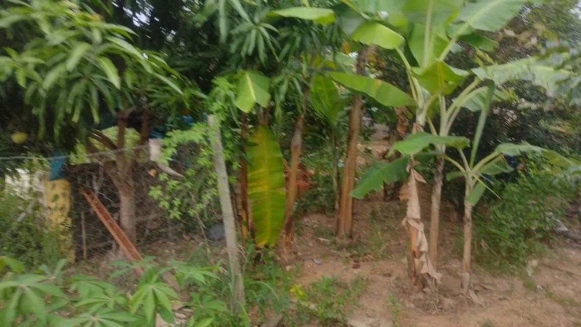 Chácara com preço de oportunidade!!! - Foto 11