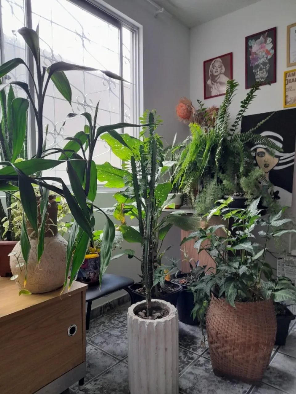 Quarto em apartamento para alugar - Foto 4