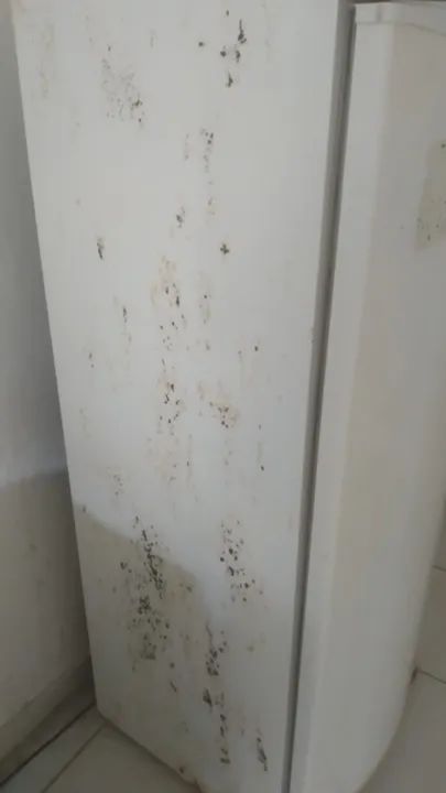 Geladeira Consul 300L - CRB36AB - Foto 5