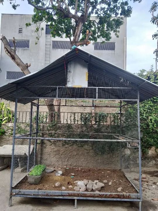 Viveiro para passaros  - Foto 2