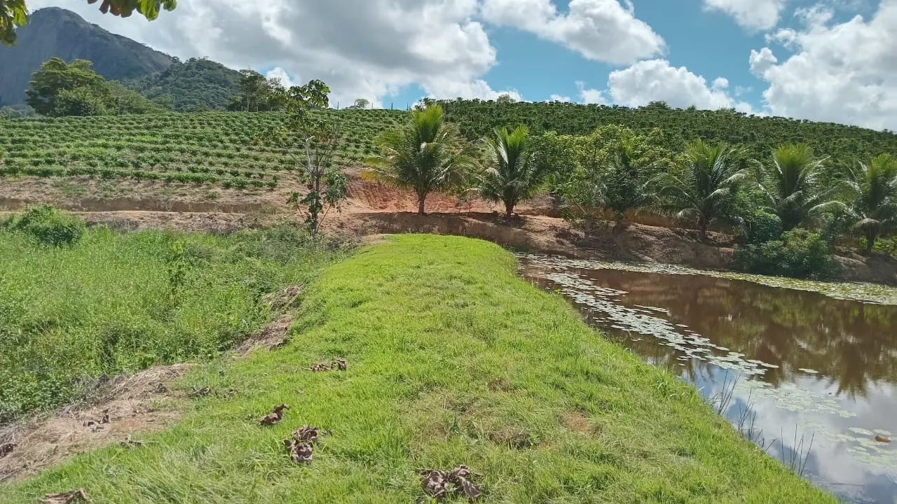 Terra produtiva em Nova Venécia