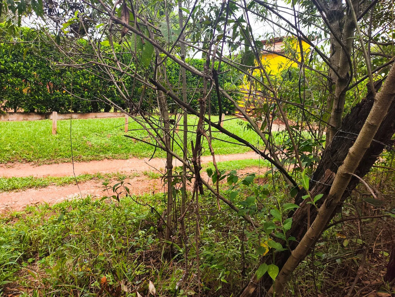 Terreno de esquina bairro próximo centro Esmeraldas - VENDO