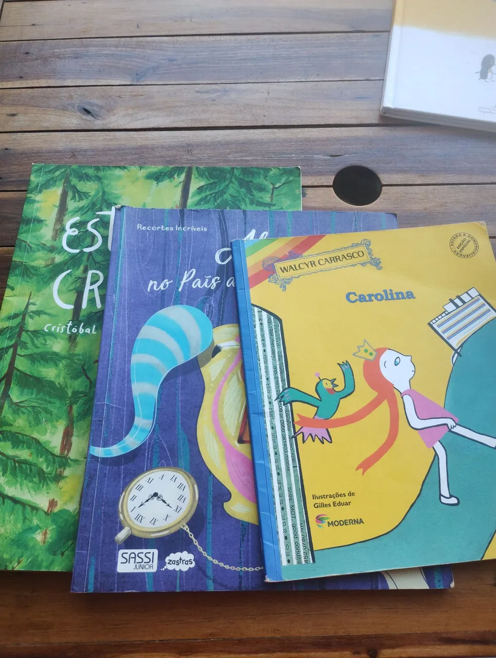 Livros Infantis - estranhas criaturas,País das Maravilhas e Carolina