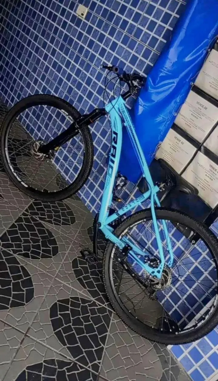RAIO Bicicleta Aro 29