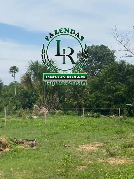 Fazenda 38 Alqueires Tocantins - Foto 4