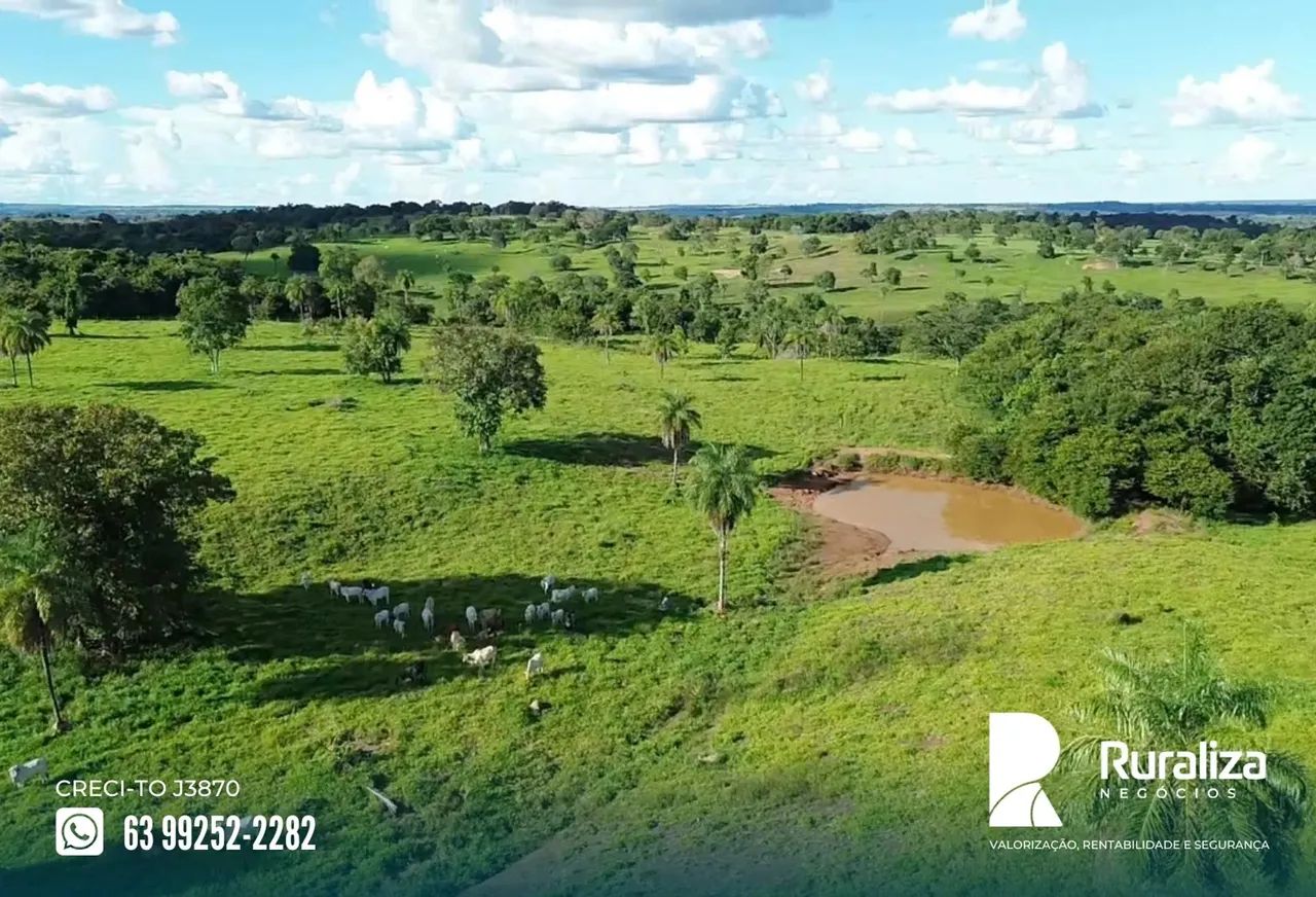 Colinas - TO à 30 km da rodovia, com solo fértil e alto potencial produtivo,  para manejo  - Foto 3