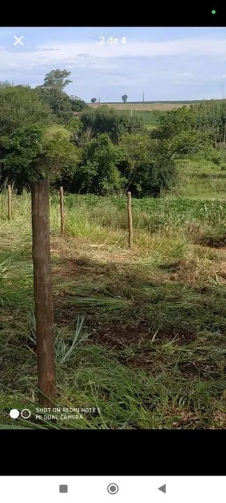 Chácara 8.000m2 Estrada São Domingos