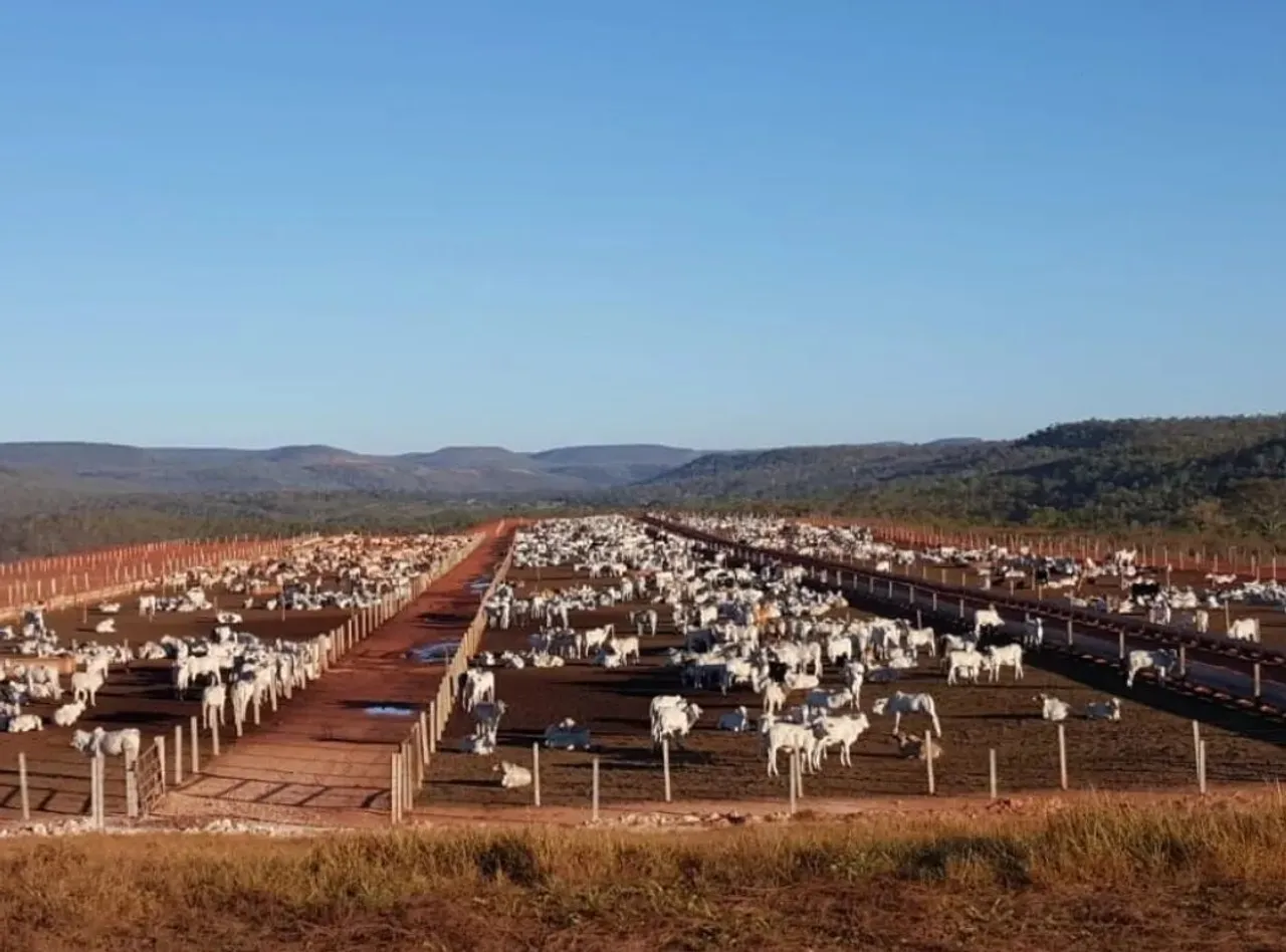 Vende-se uma magnífica fazenda de 612 alqueires