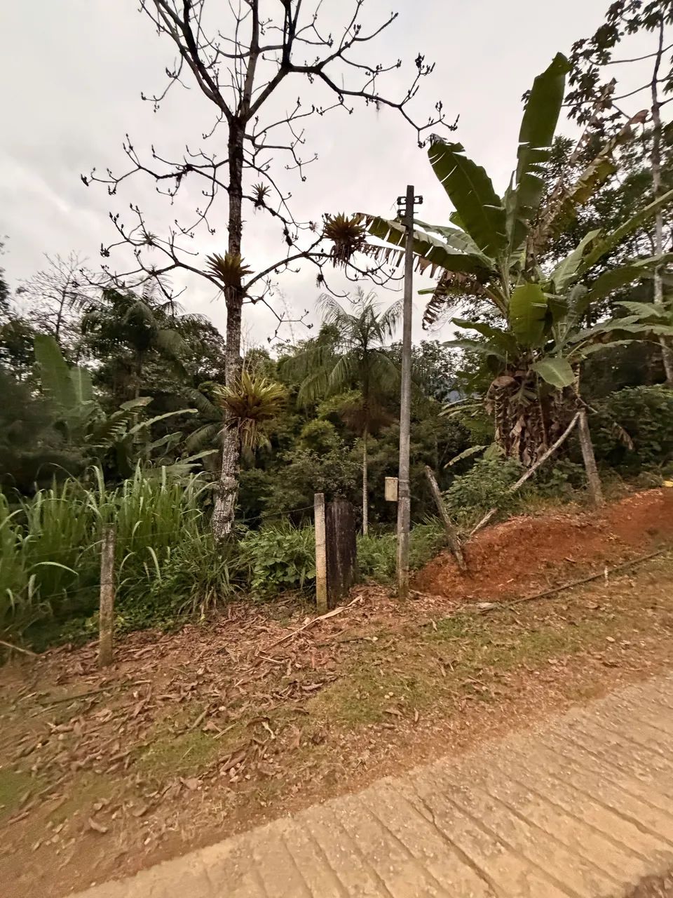 TERRENO MORRETES pr - Foto 2