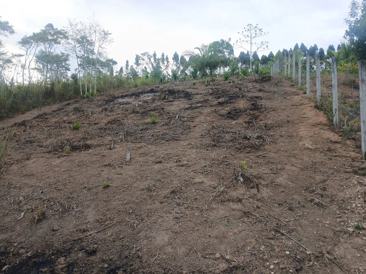 Terreno em paudalho - Foto 4