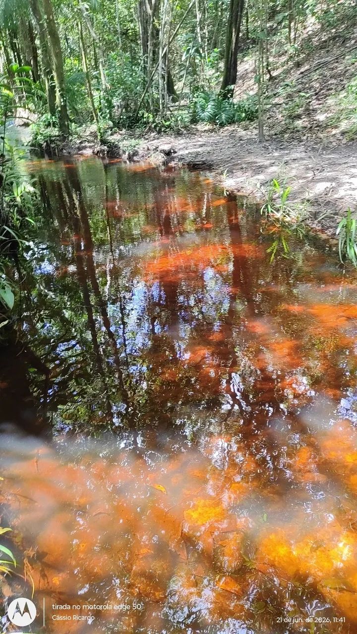 Terreno com rio no fundo  - Foto 2