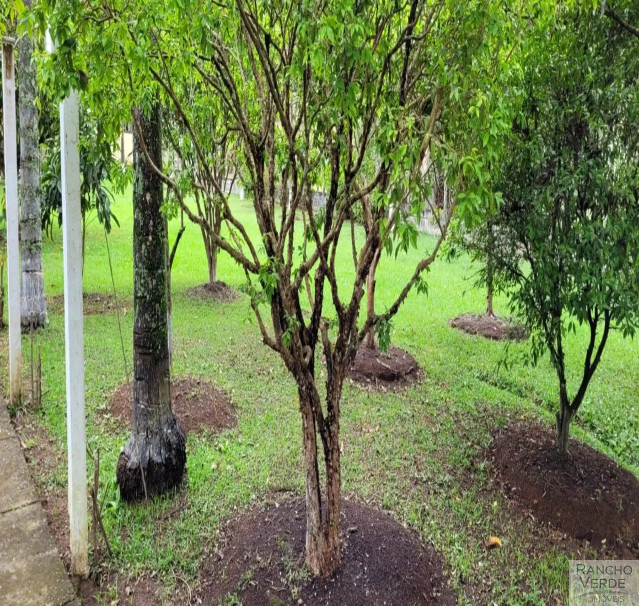 CHÁCARA RURAL em CUNHA - SP, RURAL - Foto 4