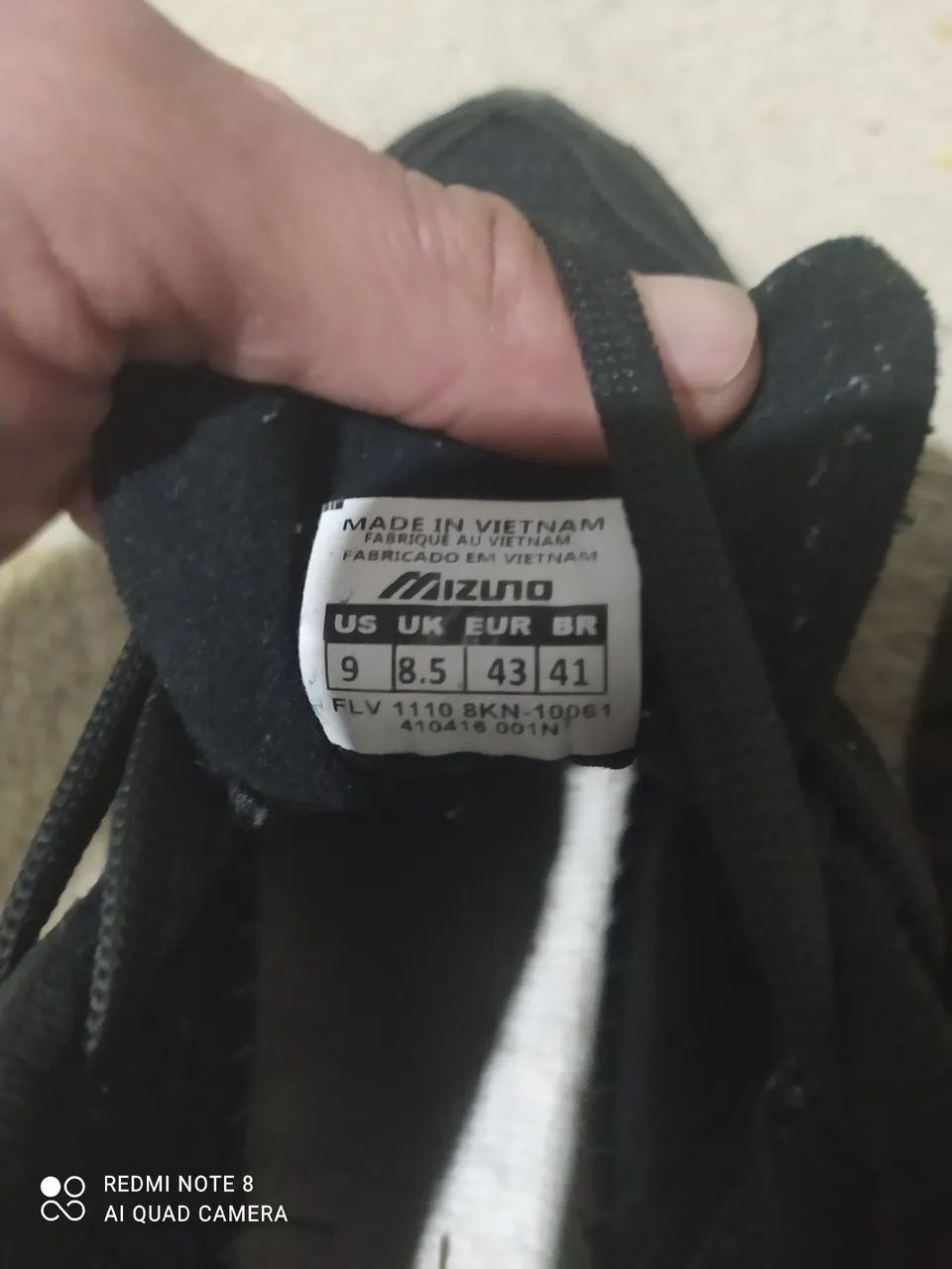 Mizuno wave prophecy 