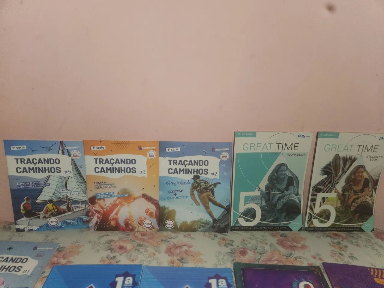 LIVROS SAS - 1° ANO - ENSINO MEDIO - Foto 5
