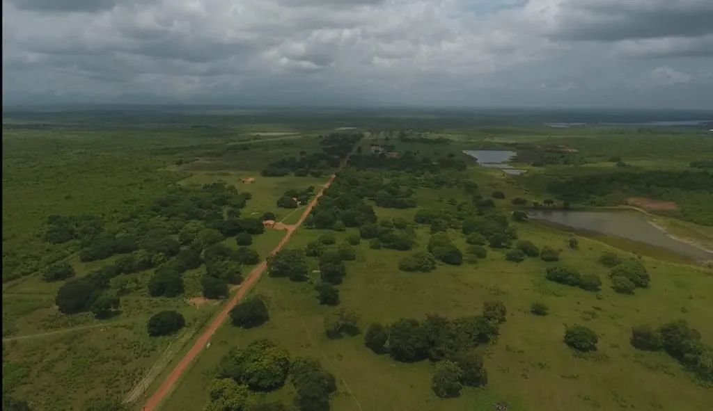 Fazenda | Venda | 713 Hectares - Foto 4