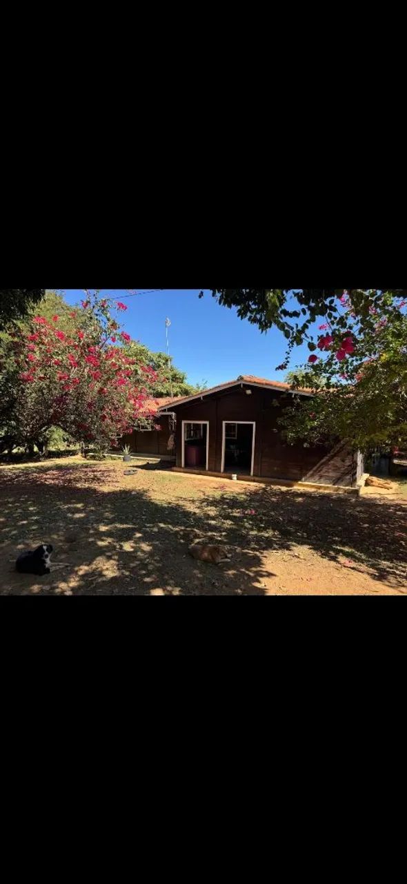 Fazenda a Venda  - Foto 4