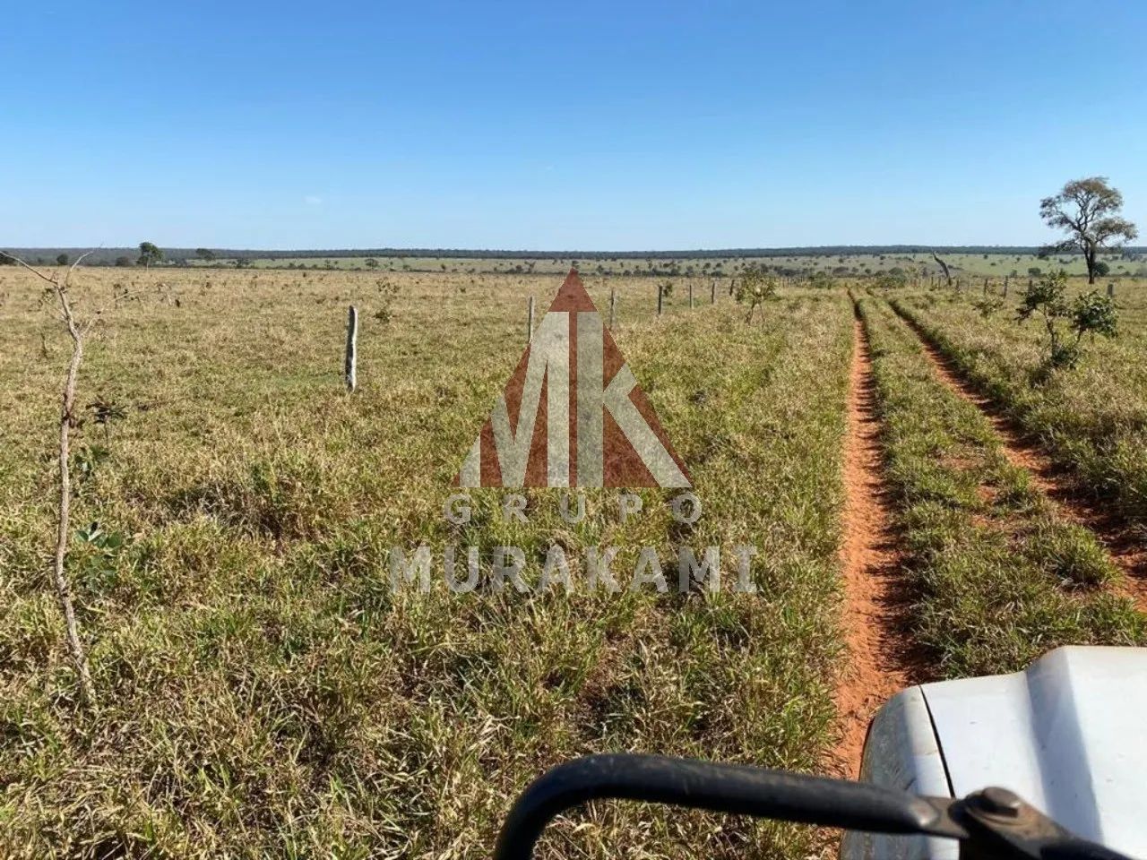FAZENDA - BRASILÂNDIA - MS - Foto 5