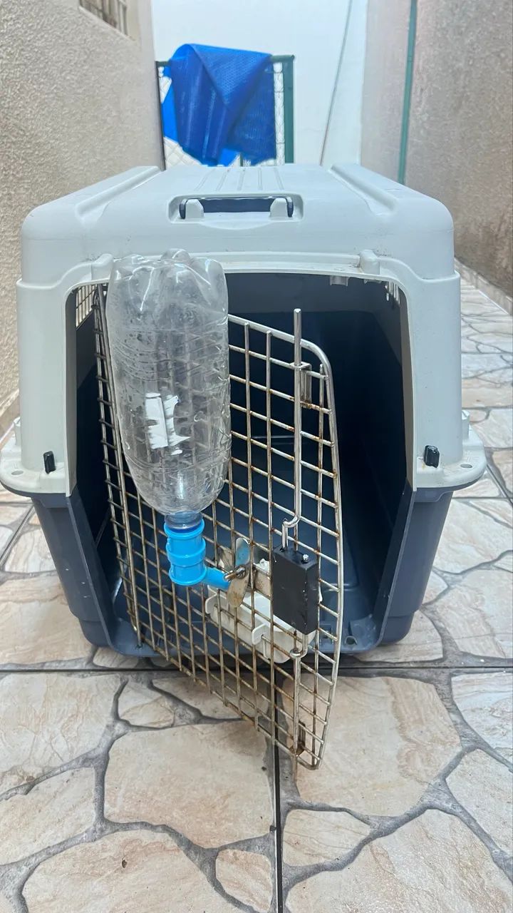 Kennel para transporte aéreo tamanho 5 N5 - Foto 4