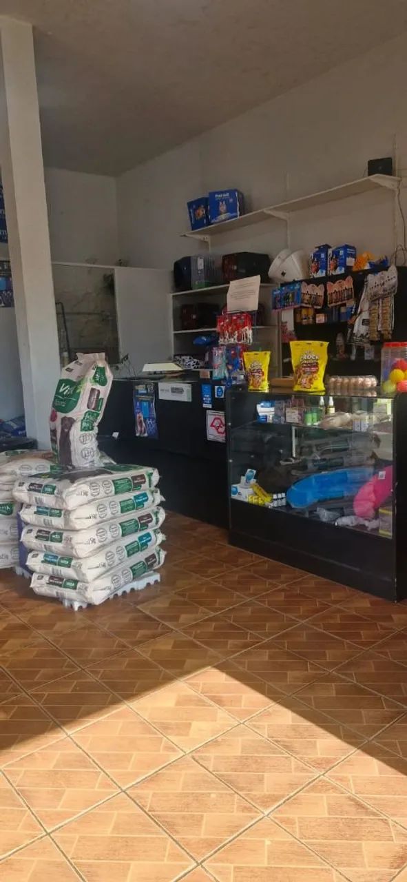 PET SHOP EM FRANCA - Foto 3