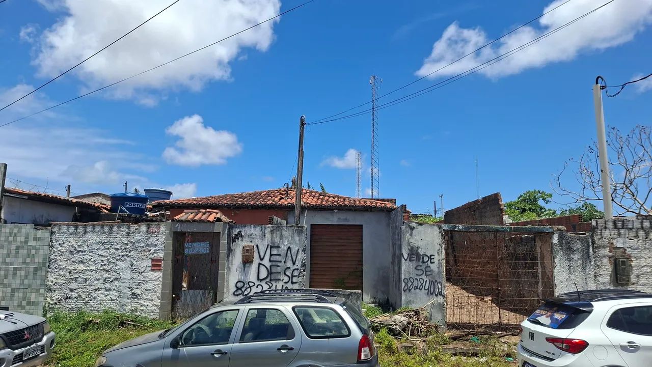 Terreno 