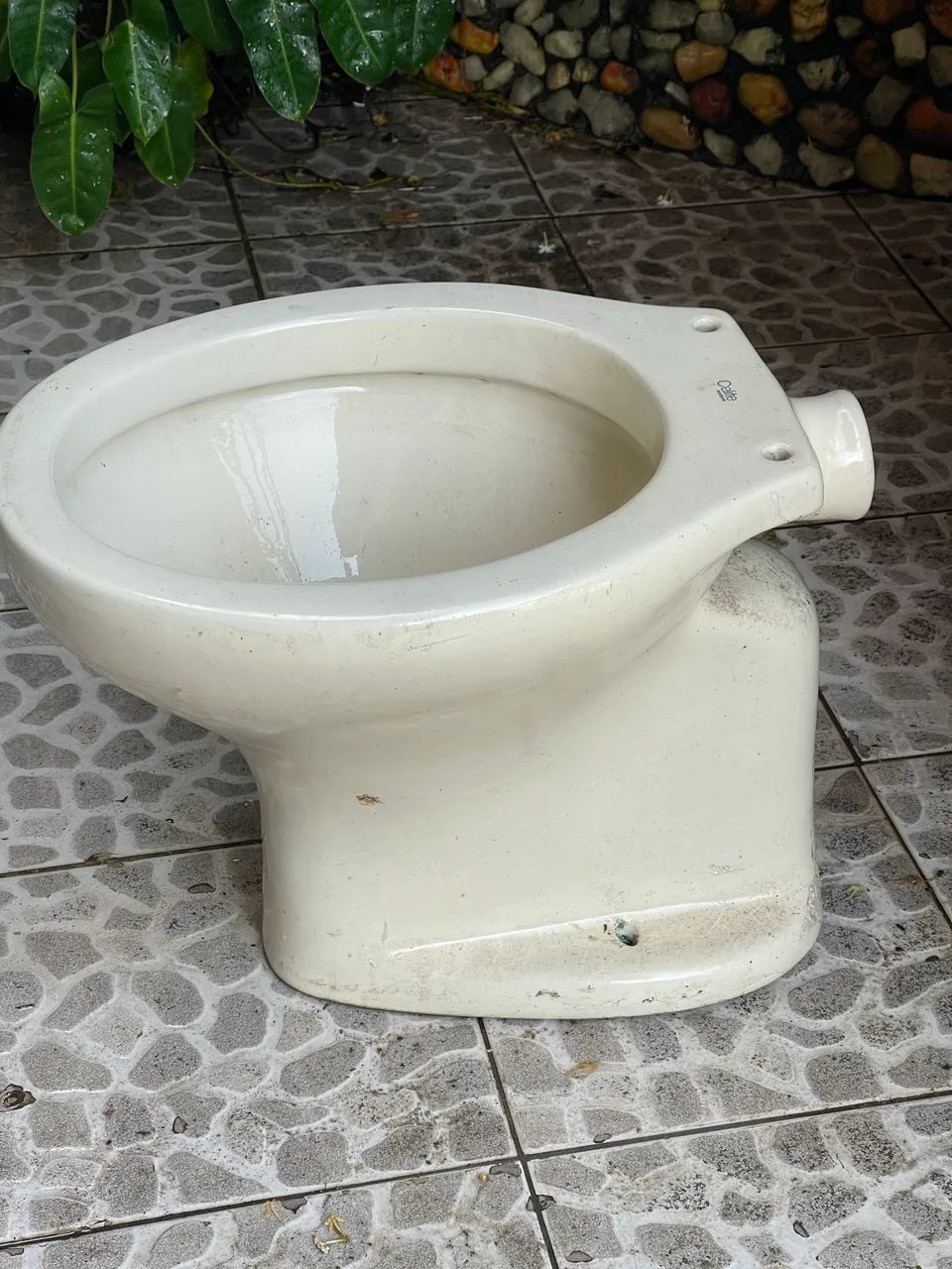 Vaso sanitário Celite - Foto 4