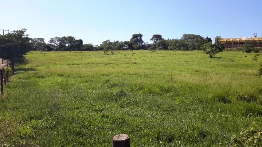 Foto - Lins - Jardim Americano