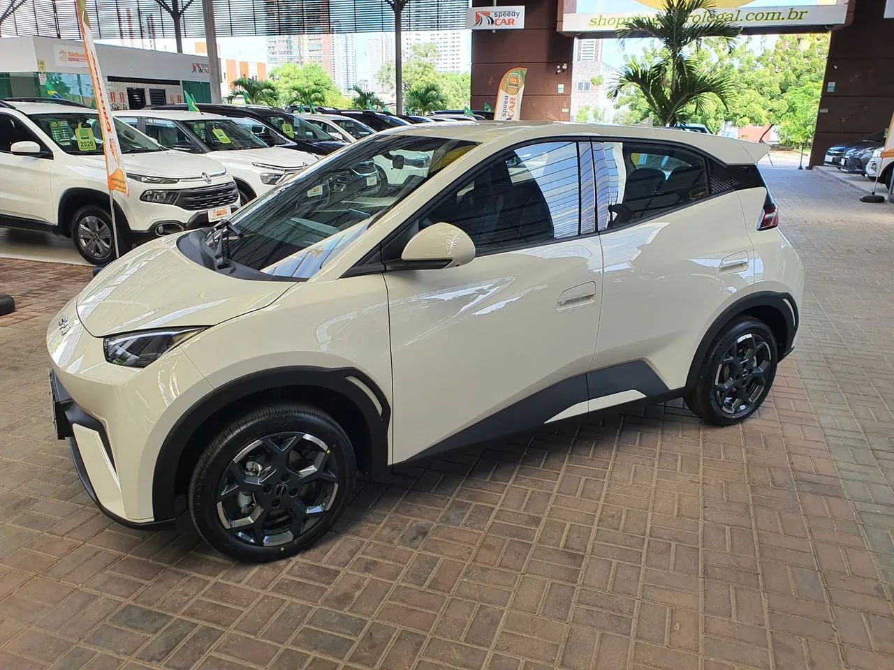 BYD Dolphin Mini (Elétrico) 2027 - Foto 2