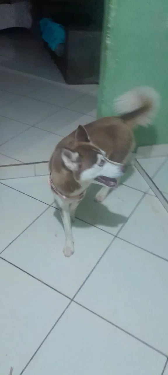Doação 